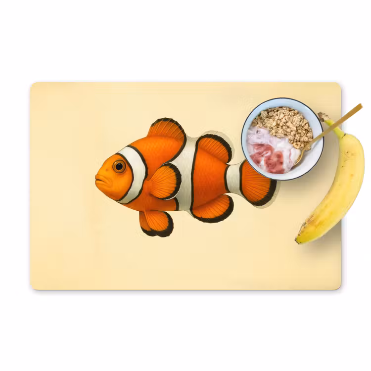 Set de table - Poisson - Orange - Rayures — 1