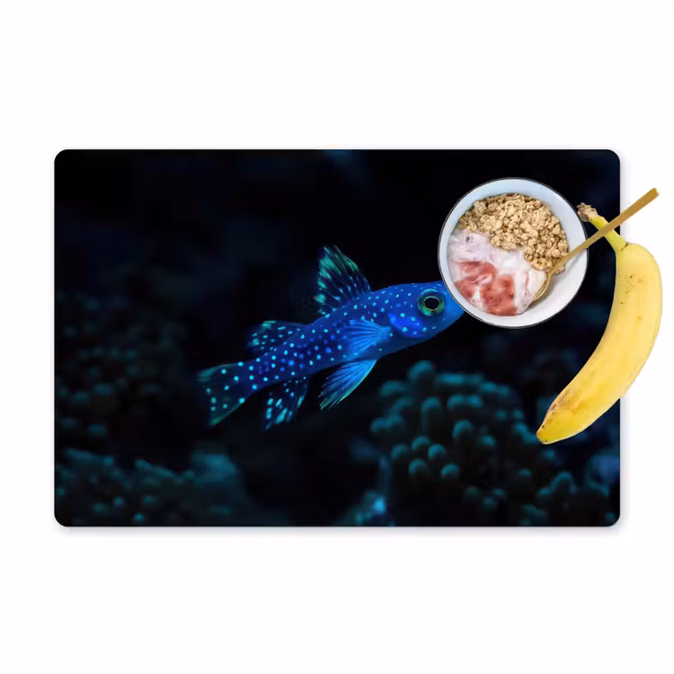 Set de table - Poisson - Points - Corail - Bleu — 1