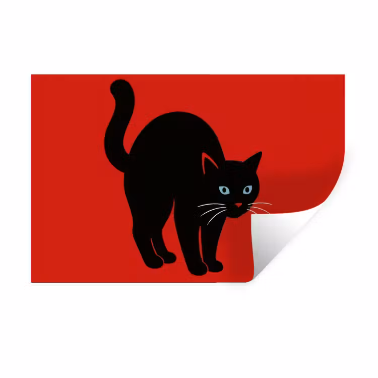 Sticker mural - Chat - Noir - Queue — 1