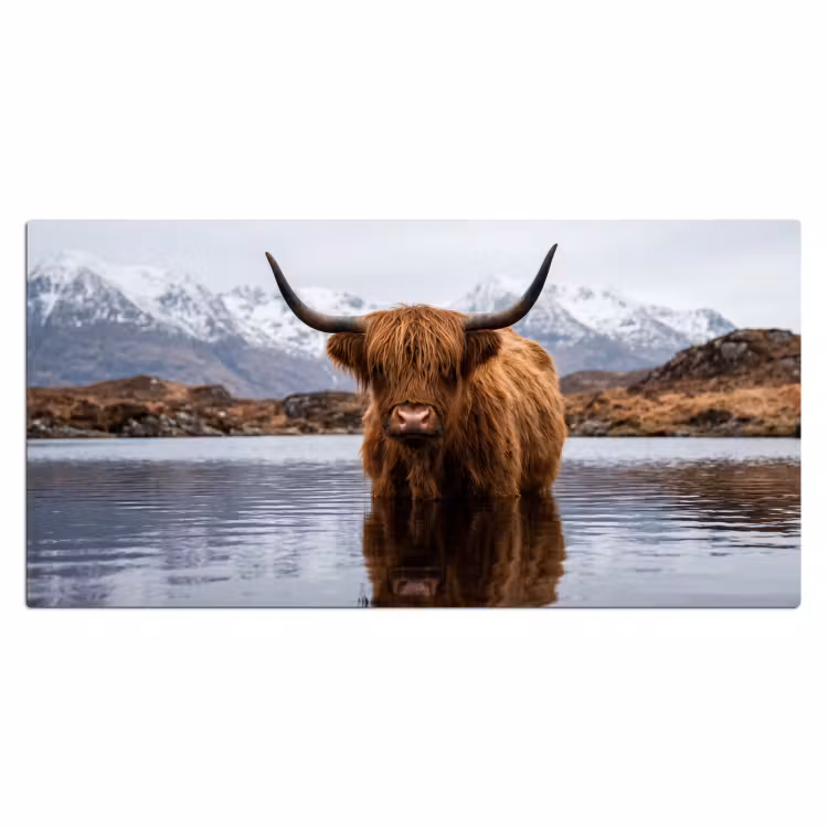 Sous main bureau - Highlander écossais - Marron - Eau — 2