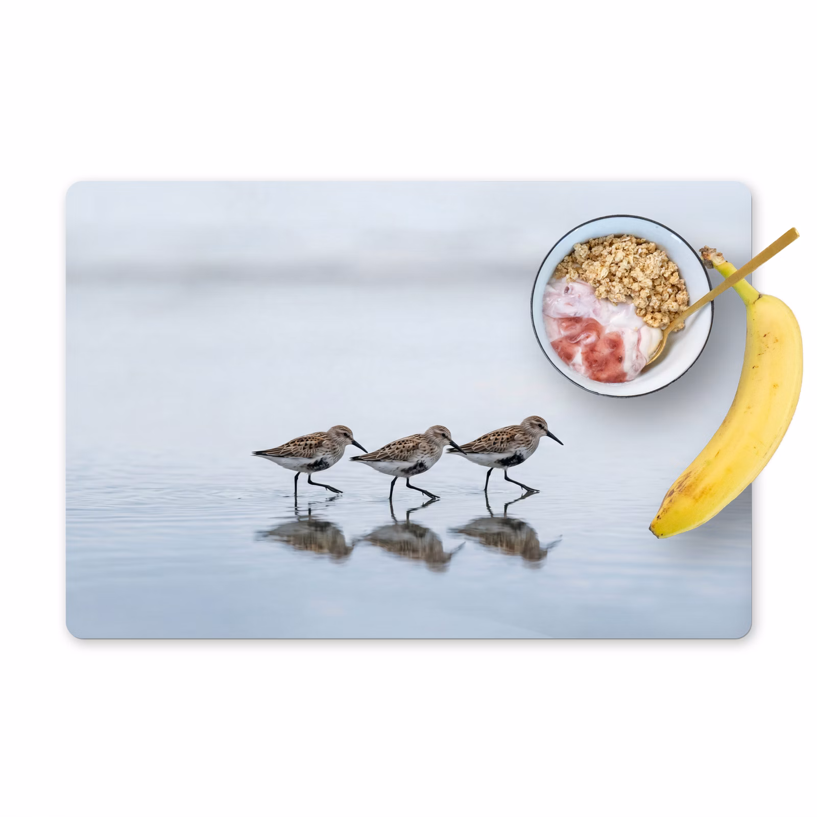 Set de table - Oiseaux - Eau - Gris — 1
