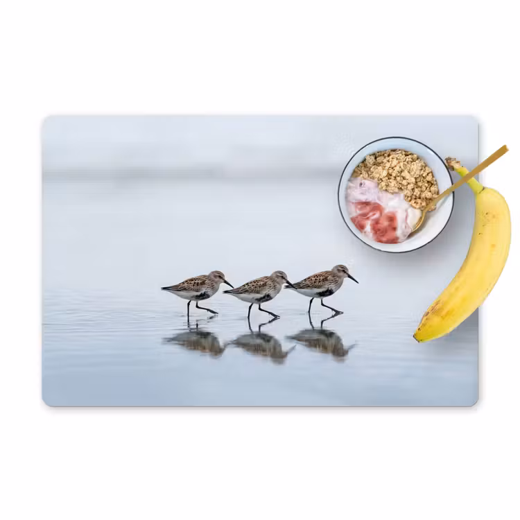 Set de table - Oiseaux - Eau - Gris — 1