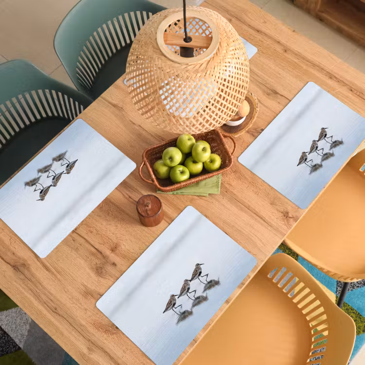Set de table - Oiseaux - Eau - Gris — 4