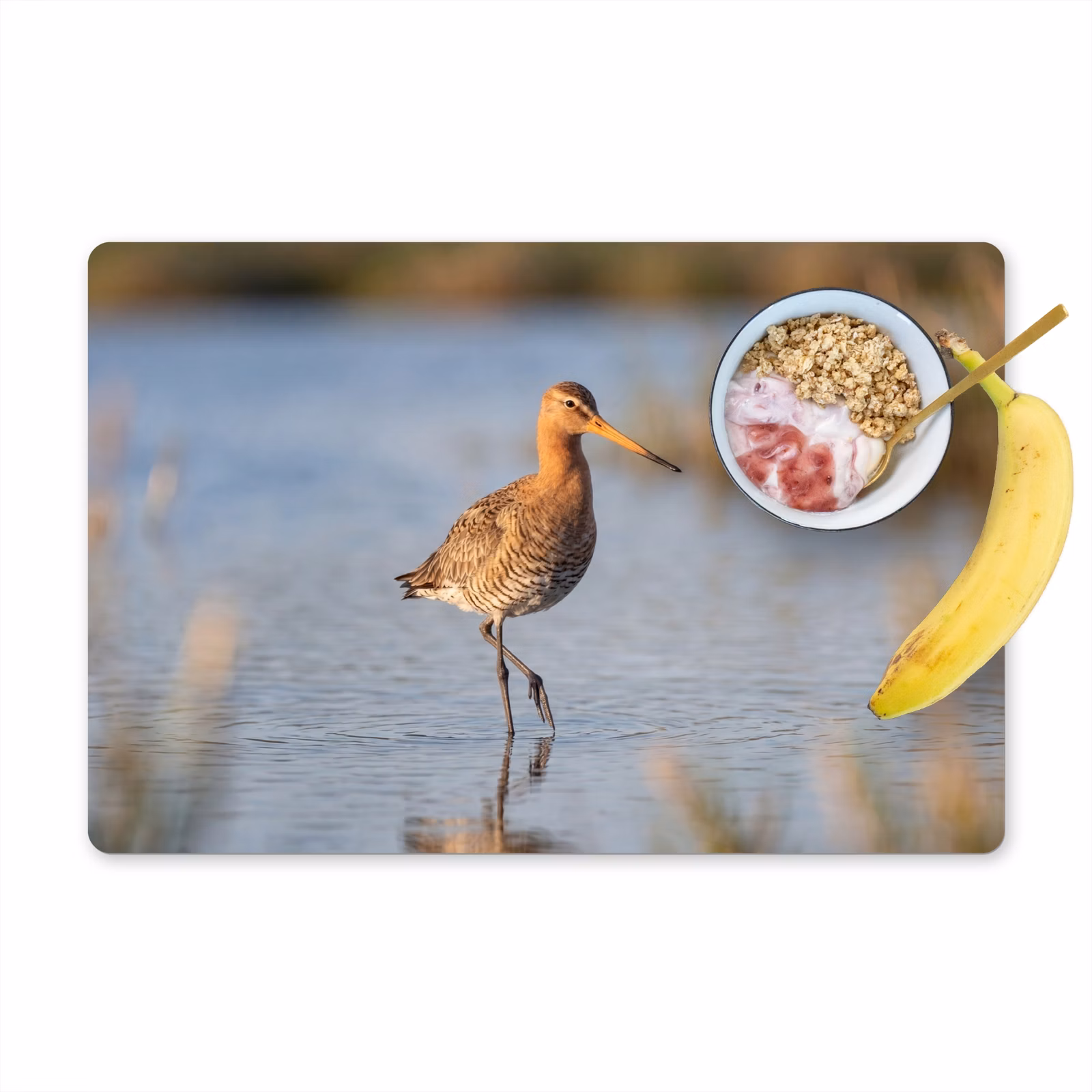 Set de table - Oiseau - Échasse - Eau - Nature — 1