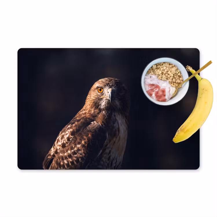 Set de table - Oiseau de proie - Buse - Brune — 1