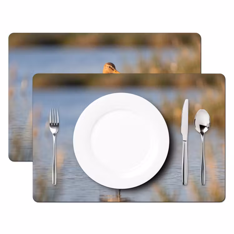 Set de table - Oiseau - Échasse - Eau - Nature — 2