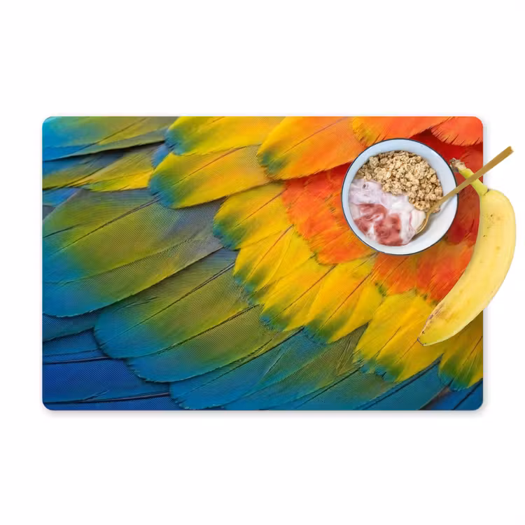 Set de table - Plumes - ara - colorées — 1