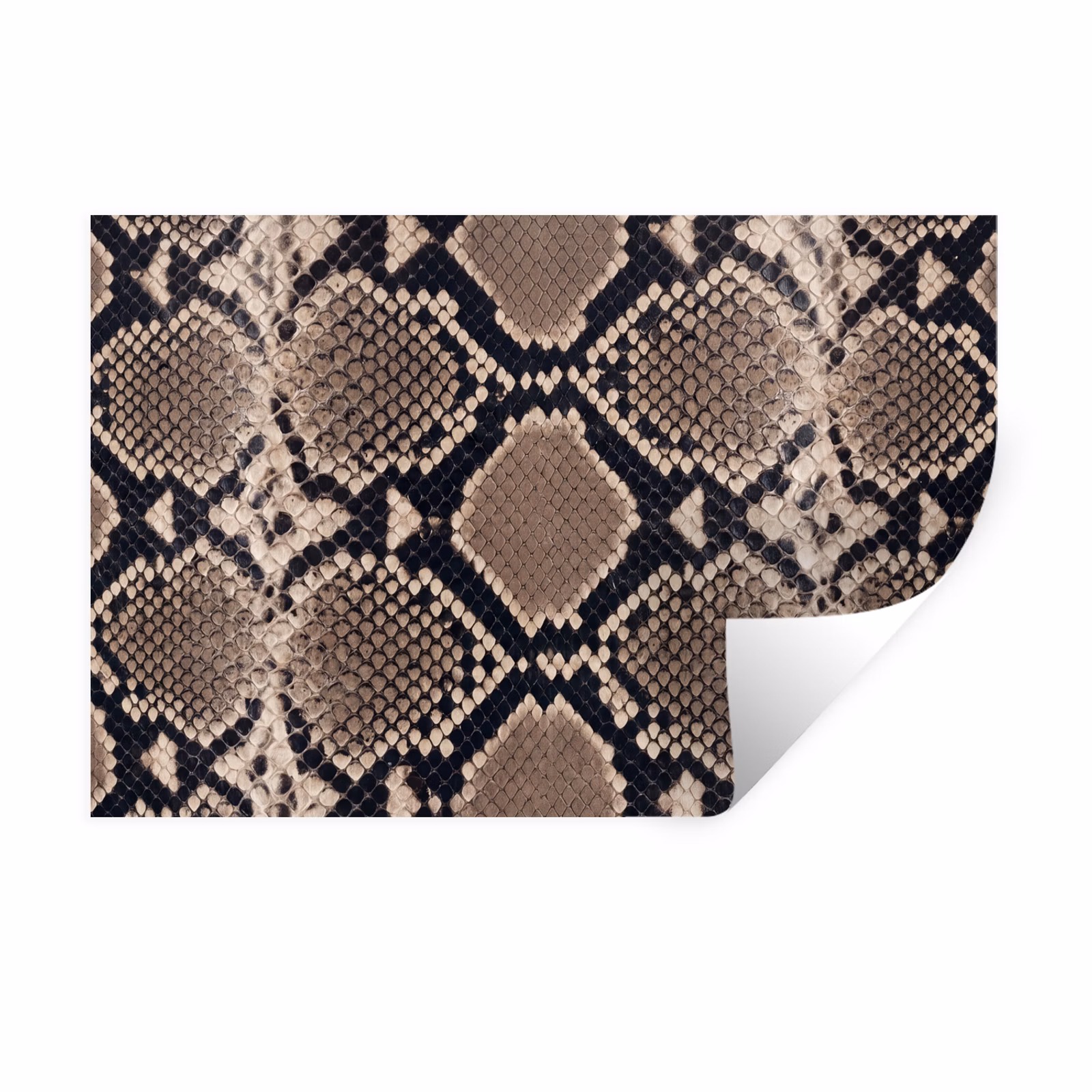Sticker mural - Imprimé serpent - Python - Marron — 1