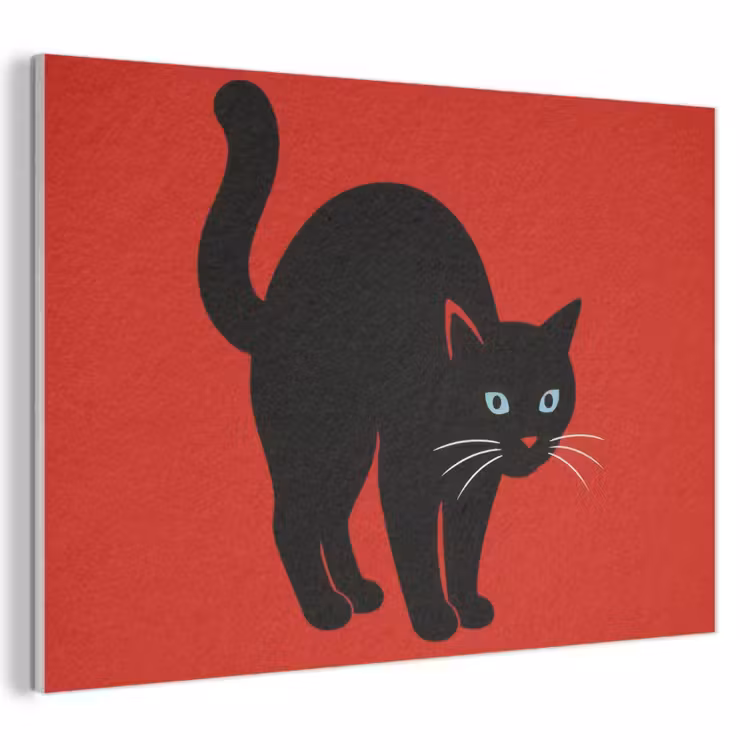 Tableau acoustique - Chat - Noir - Queue — 1