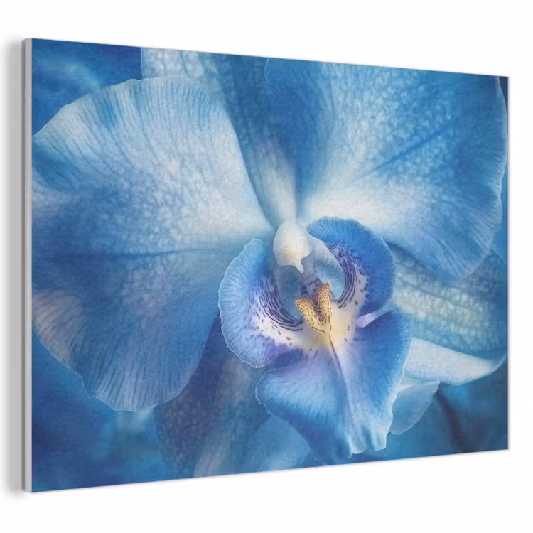 Tableau acoustique - Bleu - Orchidée - Élégante — 1