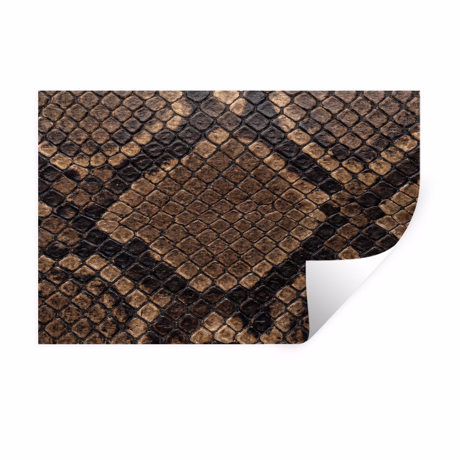 Sticker mural - Python - Écailles - Bronze — 1