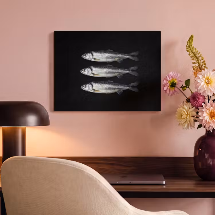 Tableau acoustique - Hareng - Poisson - Noir — 4