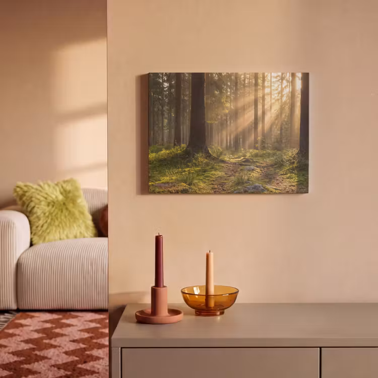 Tableau acoustique - Forêt - Soleil - Herbe — 2