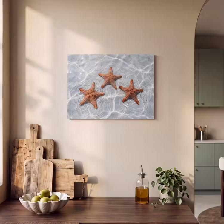 Tableau acoustique - Étoile de mer - Eau - Clair — 3