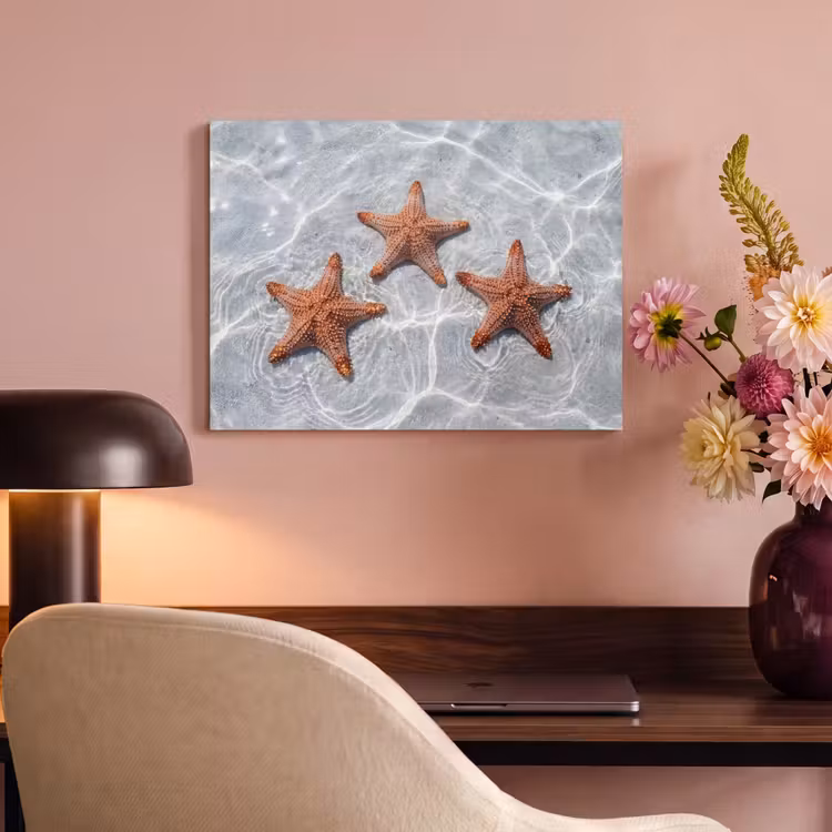Tableau acoustique - Étoile de mer - Eau - Clair — 4