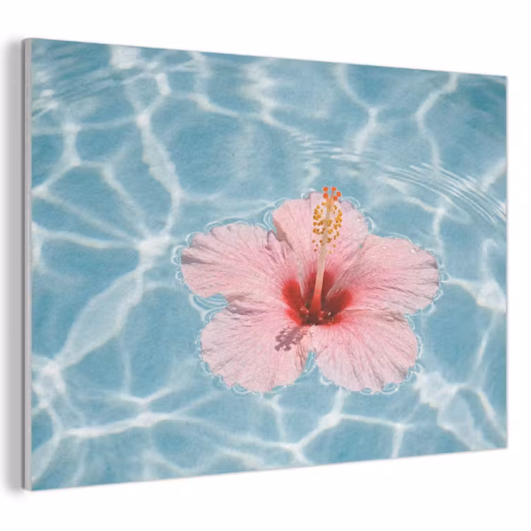 Tableau acoustique - Hibiscus - Eau - Rose — 1
