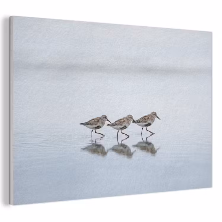 Tableau acoustique - Oiseaux - Eau - Gris — 1