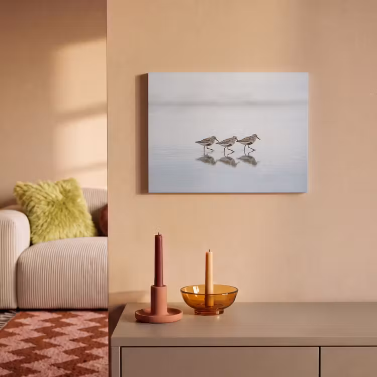 Tableau acoustique - Oiseaux - Eau - Gris — 2