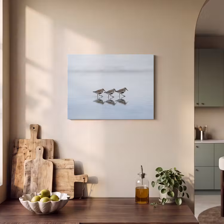 Tableau acoustique - Oiseaux - Eau - Gris — 3