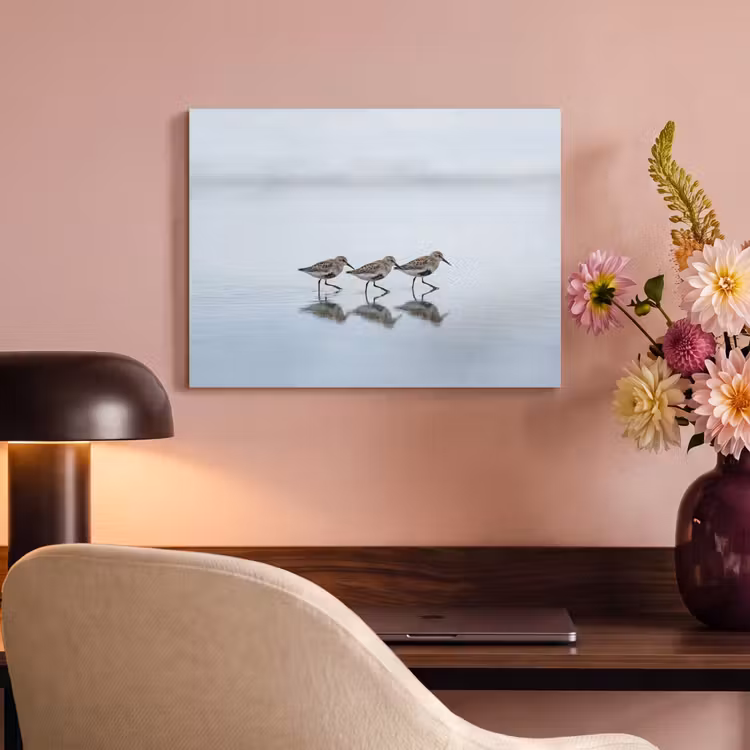 Tableau acoustique - Oiseaux - Eau - Gris — 4