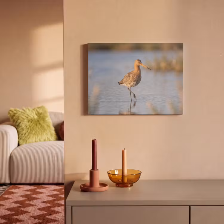 Tableau acoustique - Oiseau - Échasse - Eau - Nature — 2