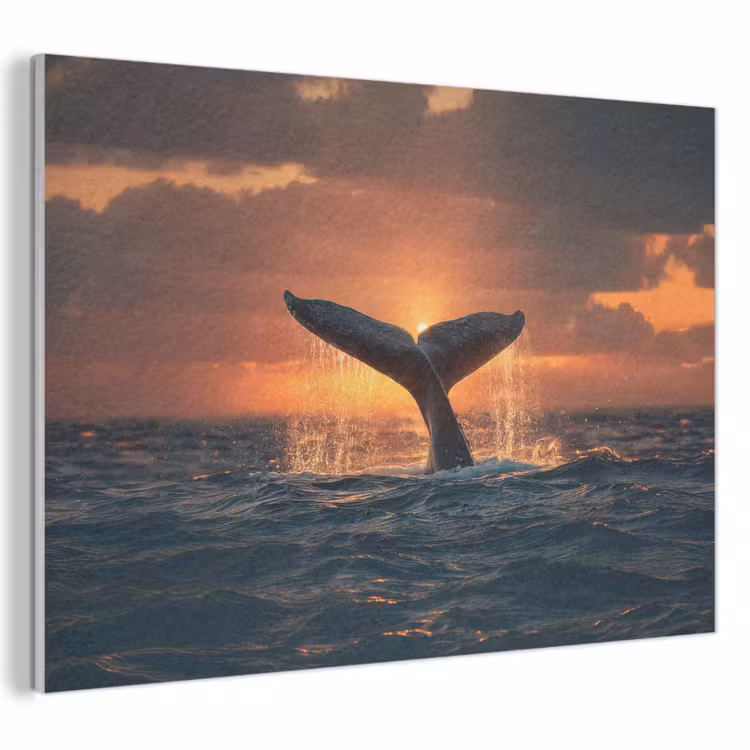 Tableau acoustique - Queue de baleine - Eau - Coucher de soleil — 1