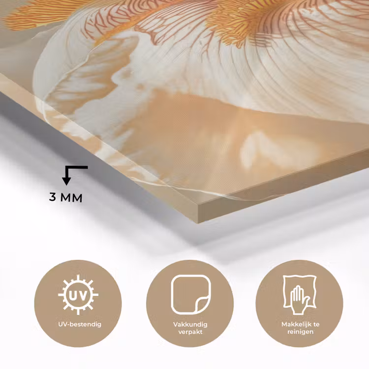 Tableau en verre - Gros plan - Orange - Iris — 3