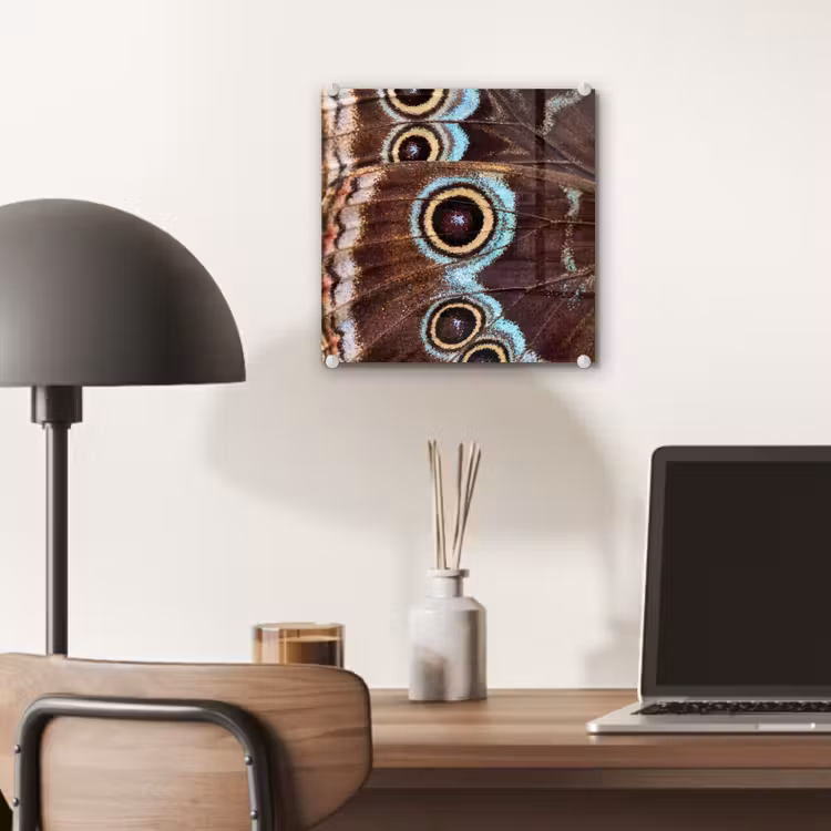 Tableau en verre - Ailes - Papillon - Bleu — 7
