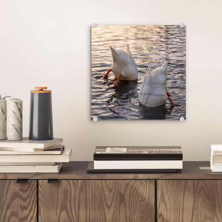 Tableau en verre - Canards - Eau - Nature — 2