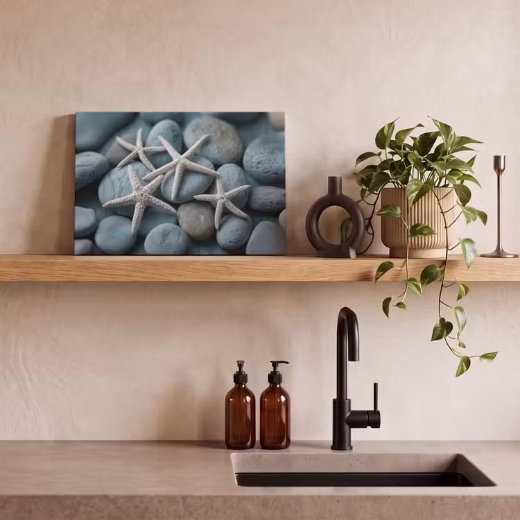Tableau sur toile - Étoile de mer - Pierres - Blanc — 2