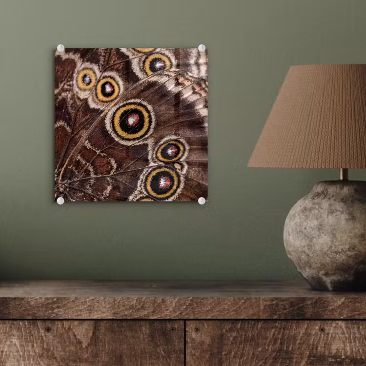 Tableau en verre - Papillon - Aile - Abstrait — 4