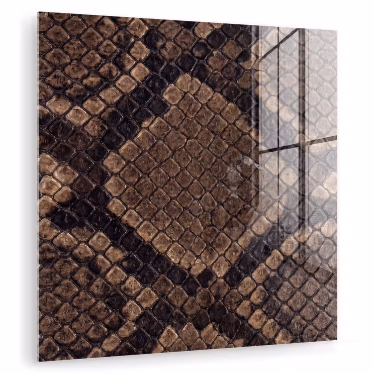 Tableau en verre - Python - Écailles - Bronze — 1