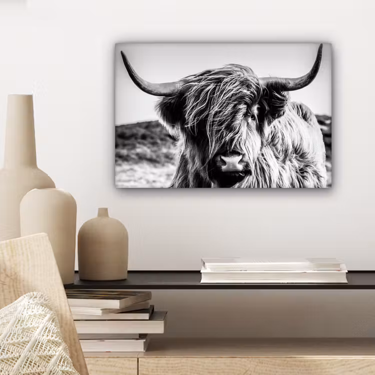 Tableau sur toile - Vache - Highlander écossais - Noir - Blanc - Animal - Nature - Vie sauvage — 4