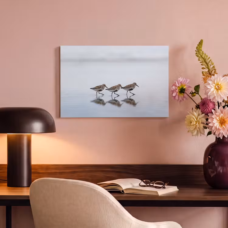 Tableau sur toile - Oiseaux - Eau - Gris — 3