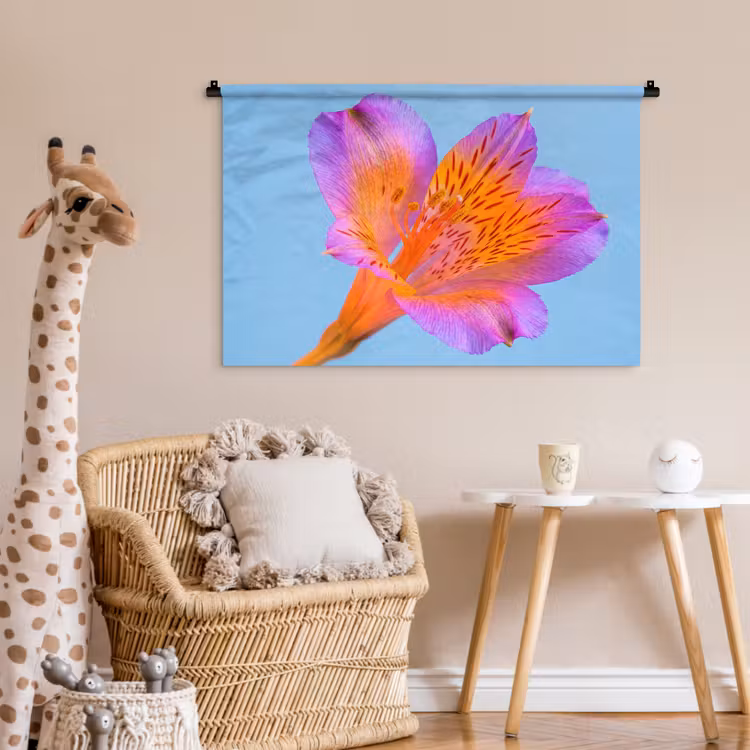 Tenture murale - Fleur - Détail - Coloré — 6
