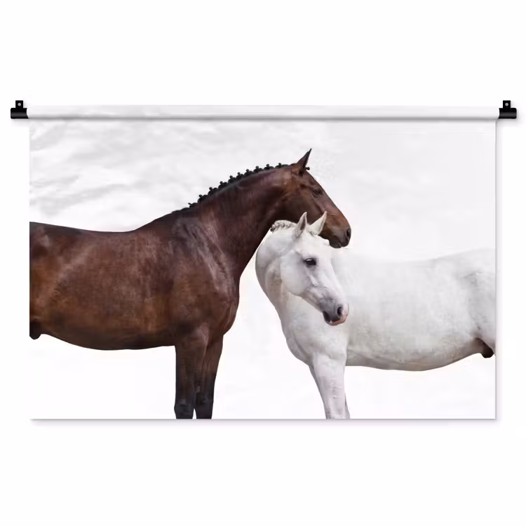 Tenture murale - Cheval - Moderne - Equilibre — 1