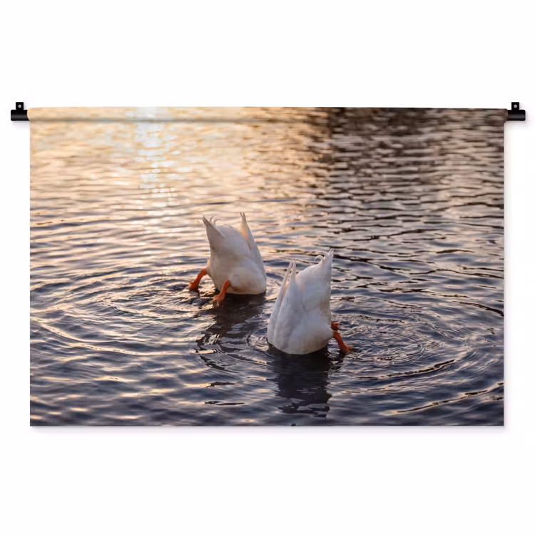 Tenture murale - Canards - Eau - Nature — 1