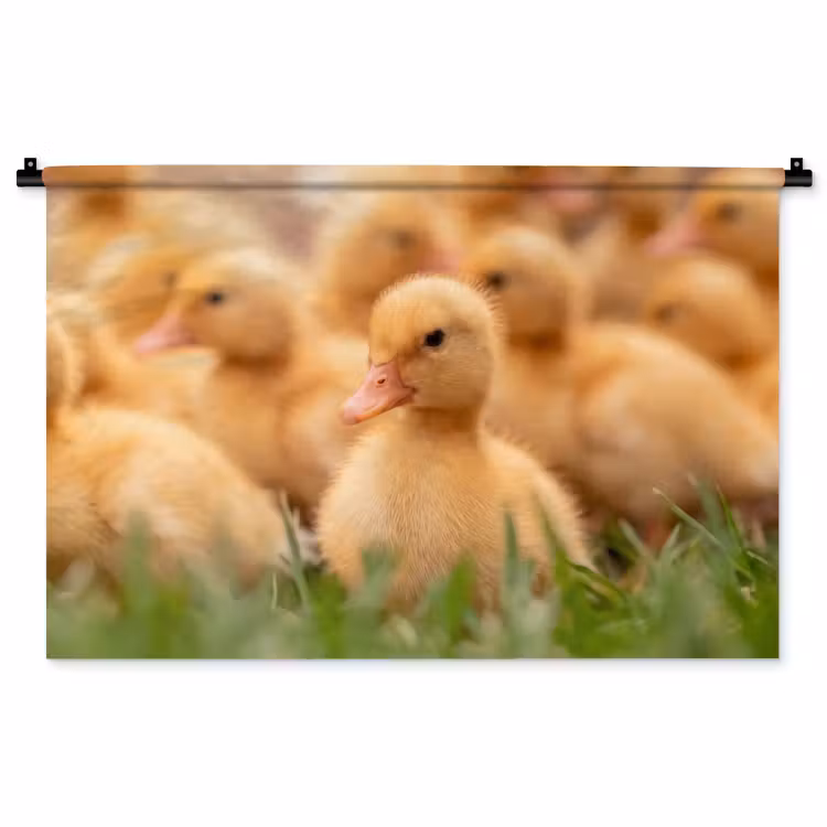 Tenture murale - Flèche - Canard - Nature - Jaune — 1