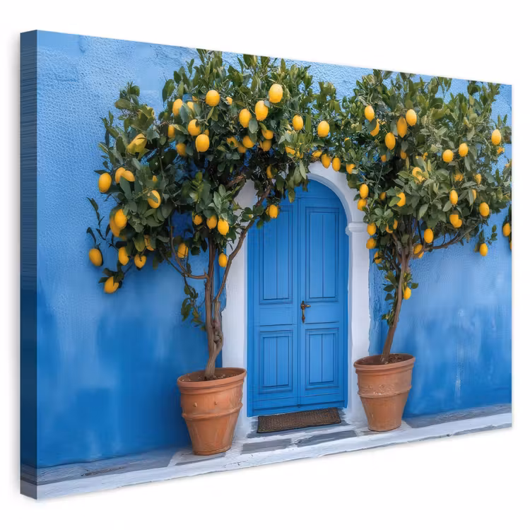 Toile extérieure - Citronniers - Jaune - Porte - Pots — 1