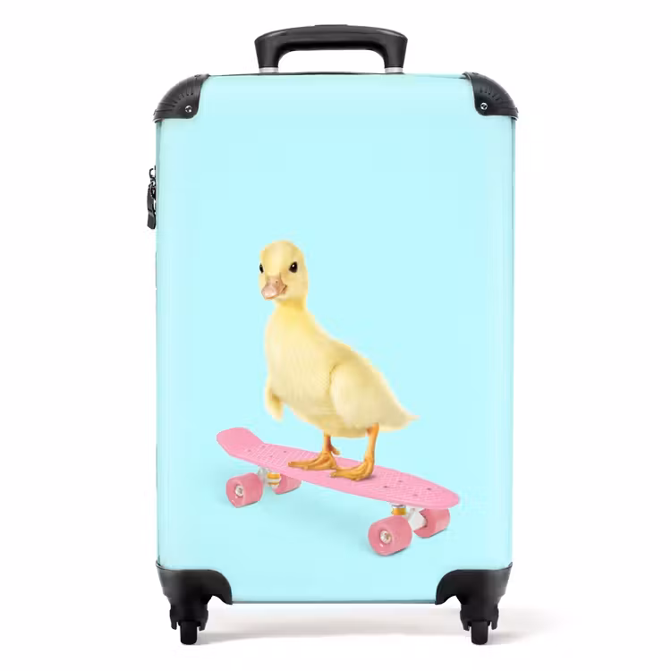 Valise - Bec patineur — 1