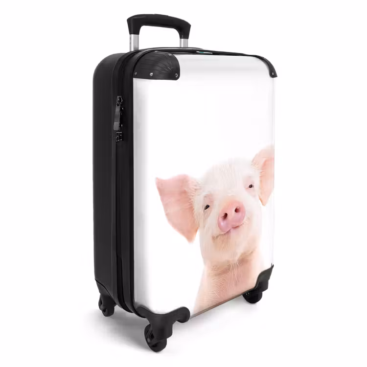 Valise - Binky Big — 2