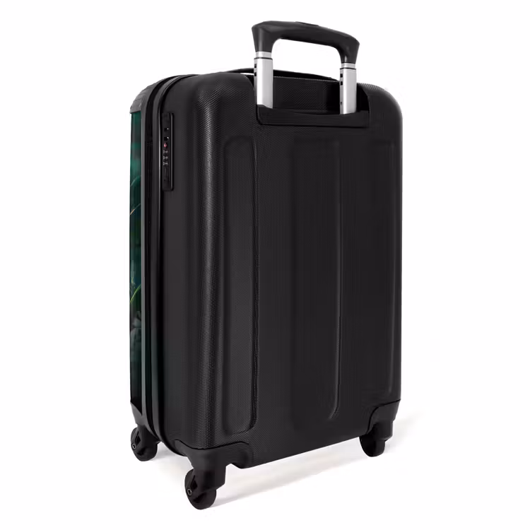 Valise - Chaton Kees — 3