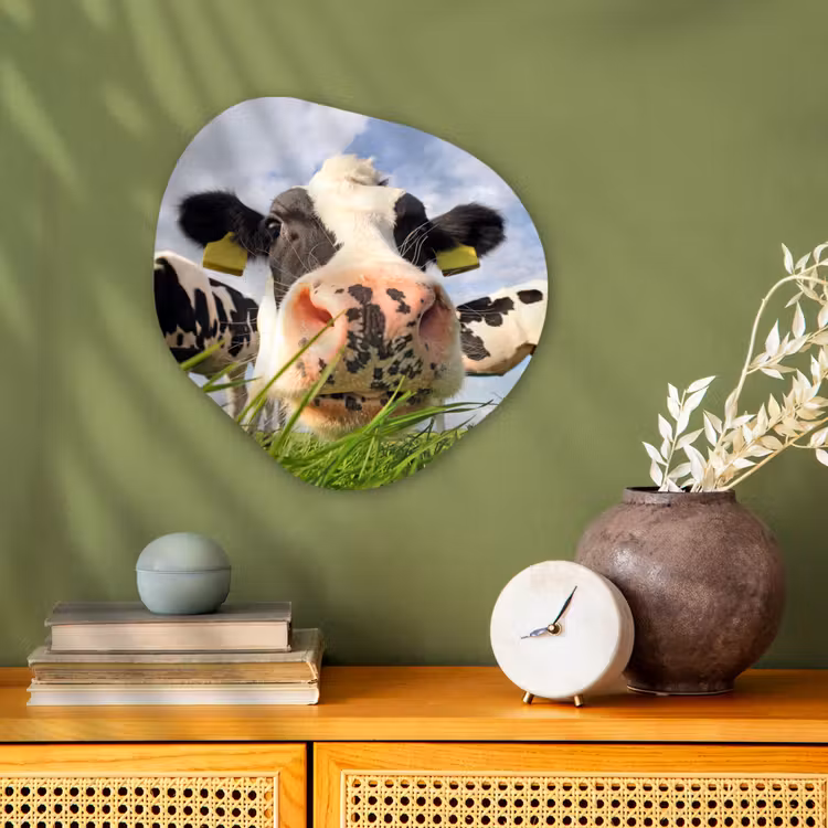 Forme organique - Forex - Vache - Ferme - Herbe - Animaux — 2