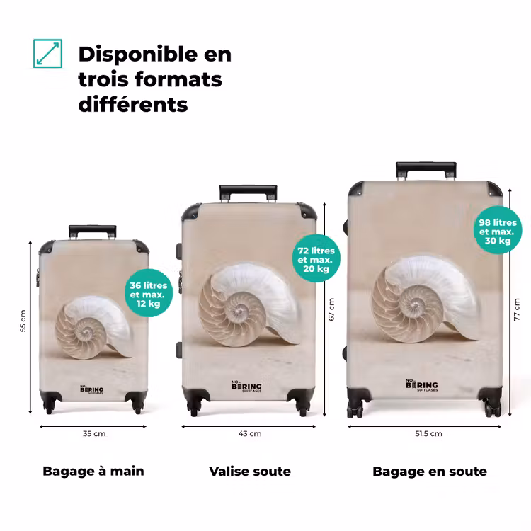Valise - Coquille - Spirale - Beige — 7