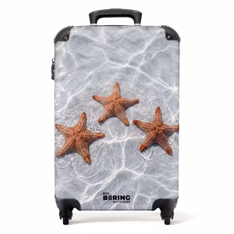 Valise - Étoile de mer - Eau - Clair — 1