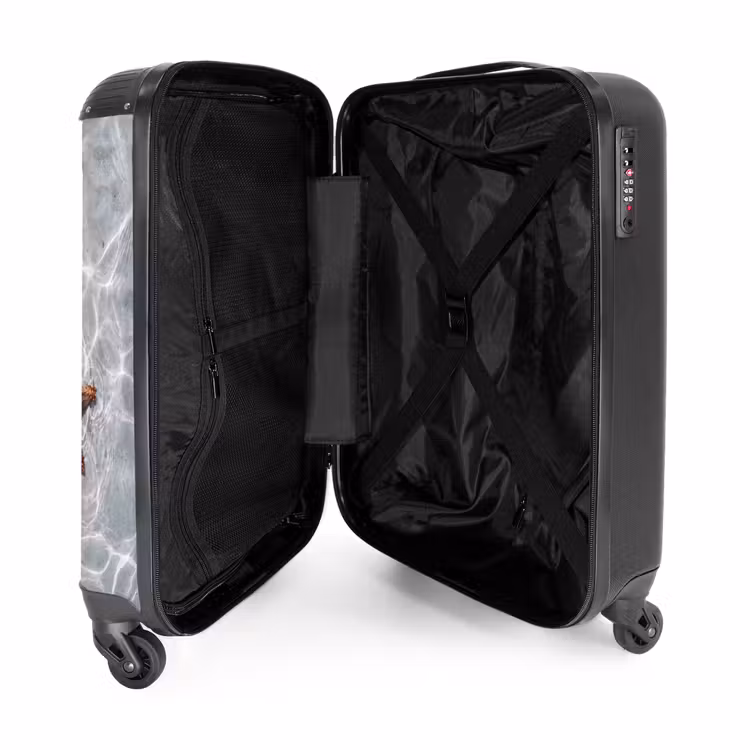 Valise - Étoile de mer - Eau - Clair — 4