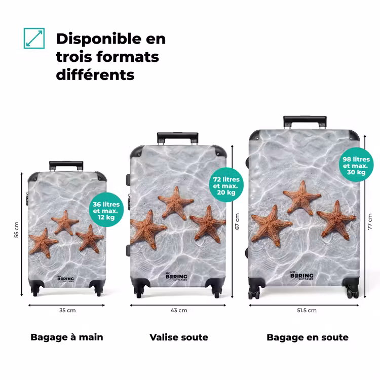 Valise - Étoile de mer - Eau - Clair — 7