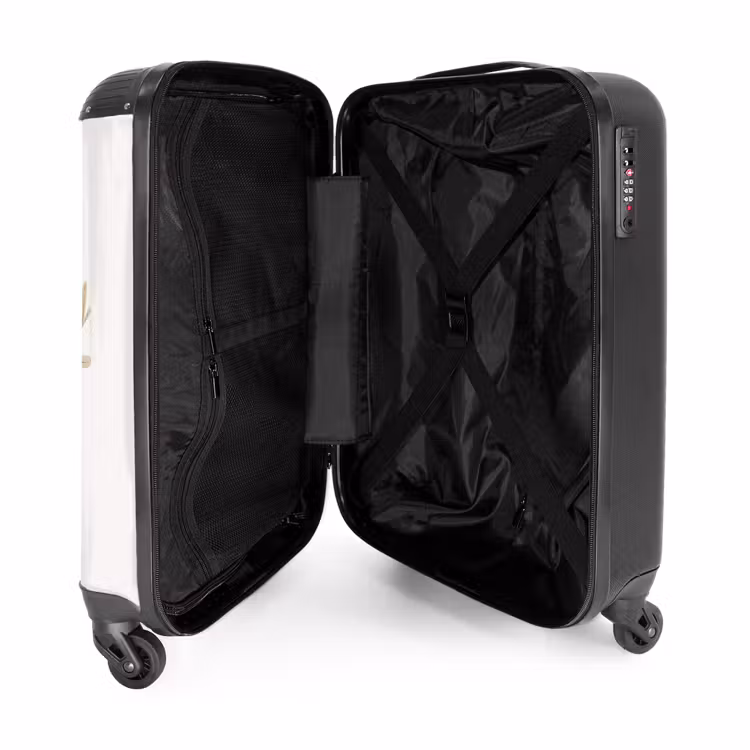 Valise - Dragon Dobby — 4