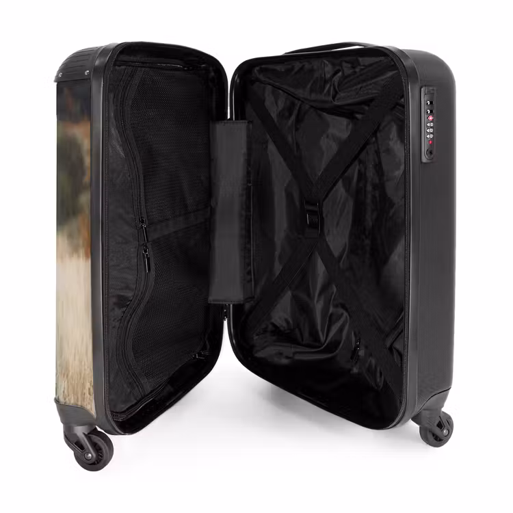 Valise personnalisée — 3
