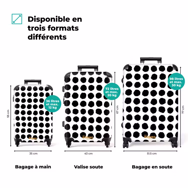 Valise - Points bruts sous forme de grille — 7